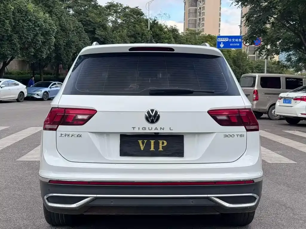 Volkswagen Tiguan L 2023 из CN, фото 9