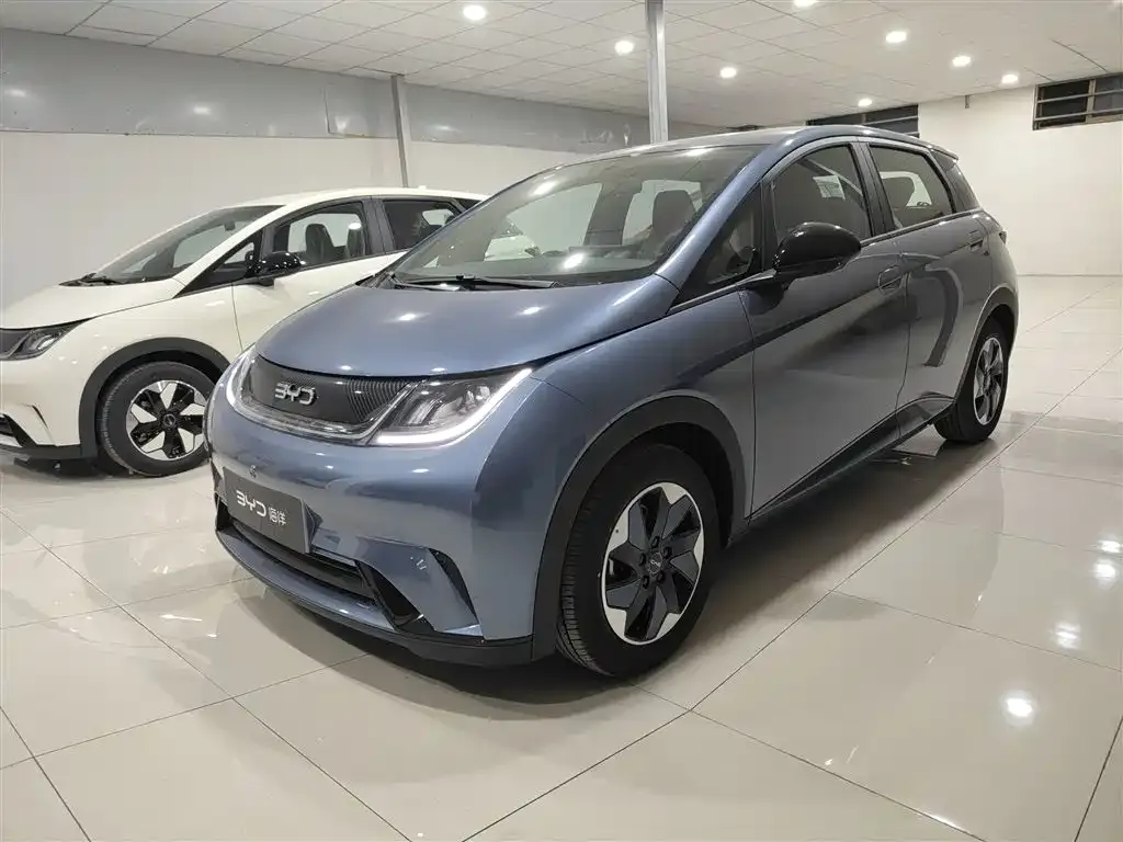 BYD Dolphin 2025 из CN, фото 1