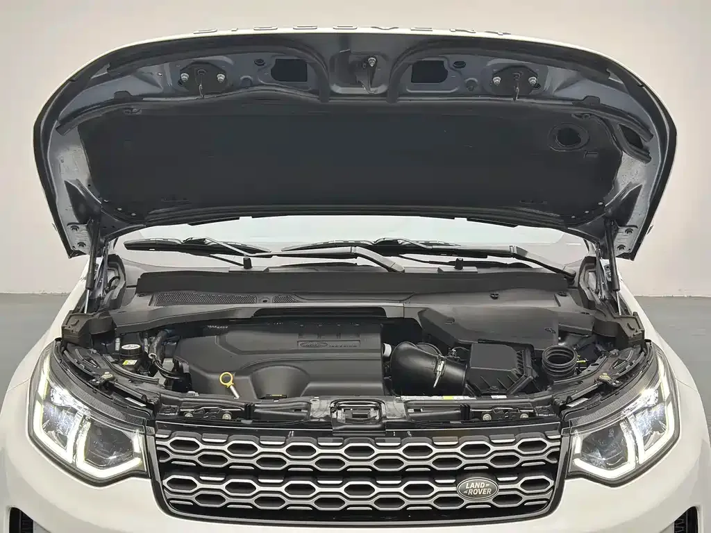 Land Rover Discovery Sport 2021 из CN, фото 4