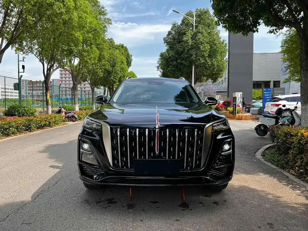 Hongqi HS5 2023 из CN, фото 2
