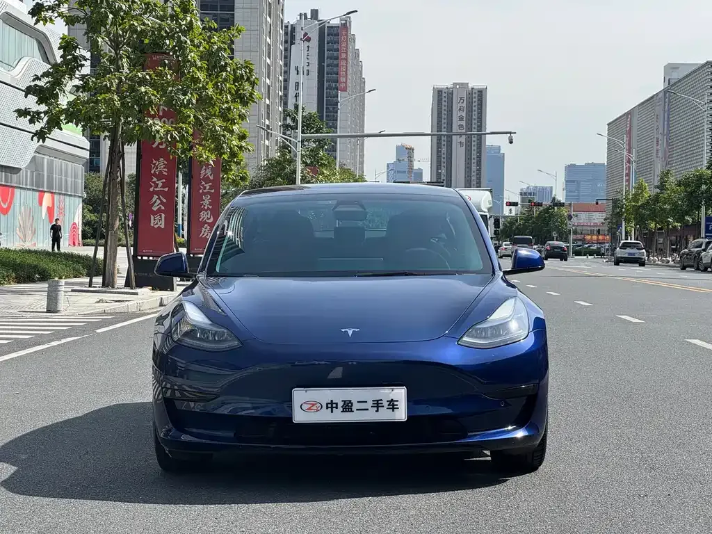 Tesla Model 3 2022 из CN, фото 2
