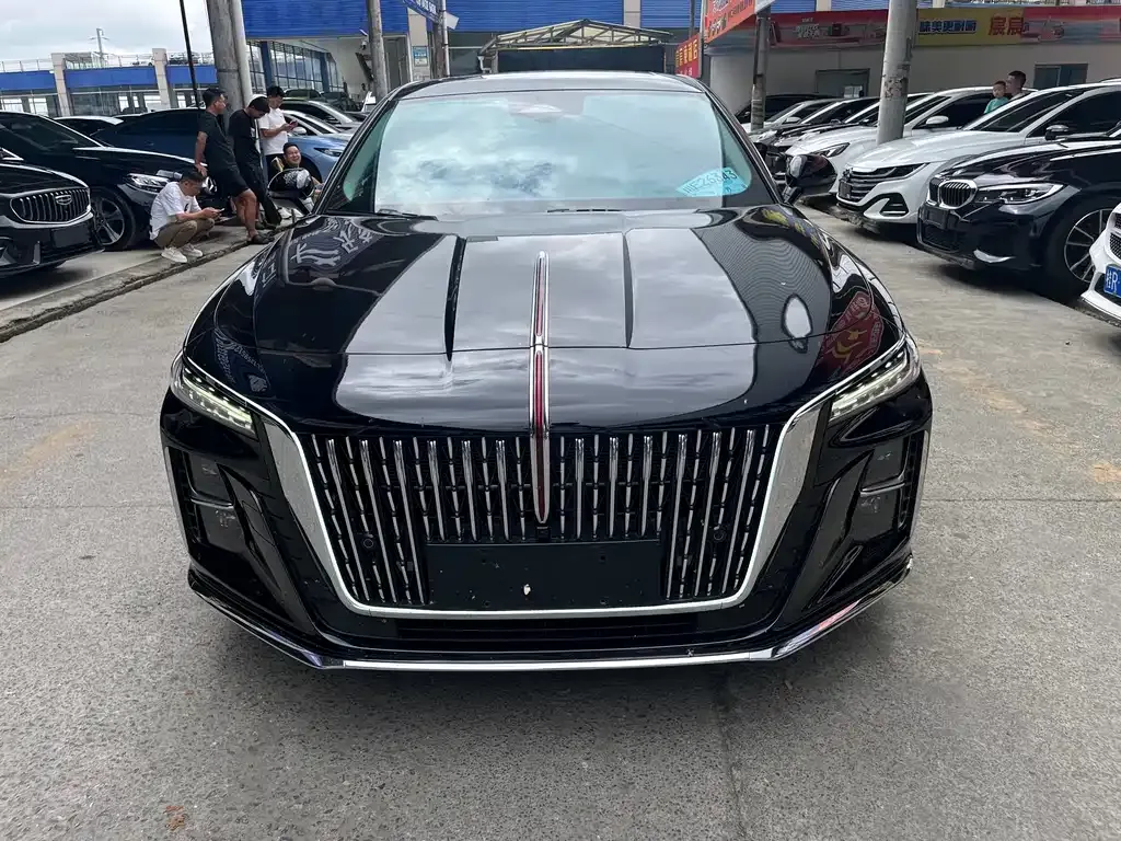 Hongqi H5 2023 из CN, фото 2