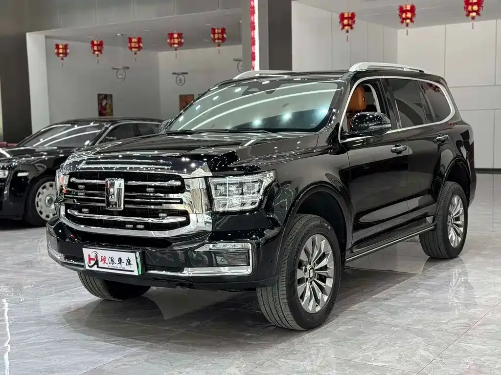 Tank 500 New Energy 2023 из CN, фото 1
