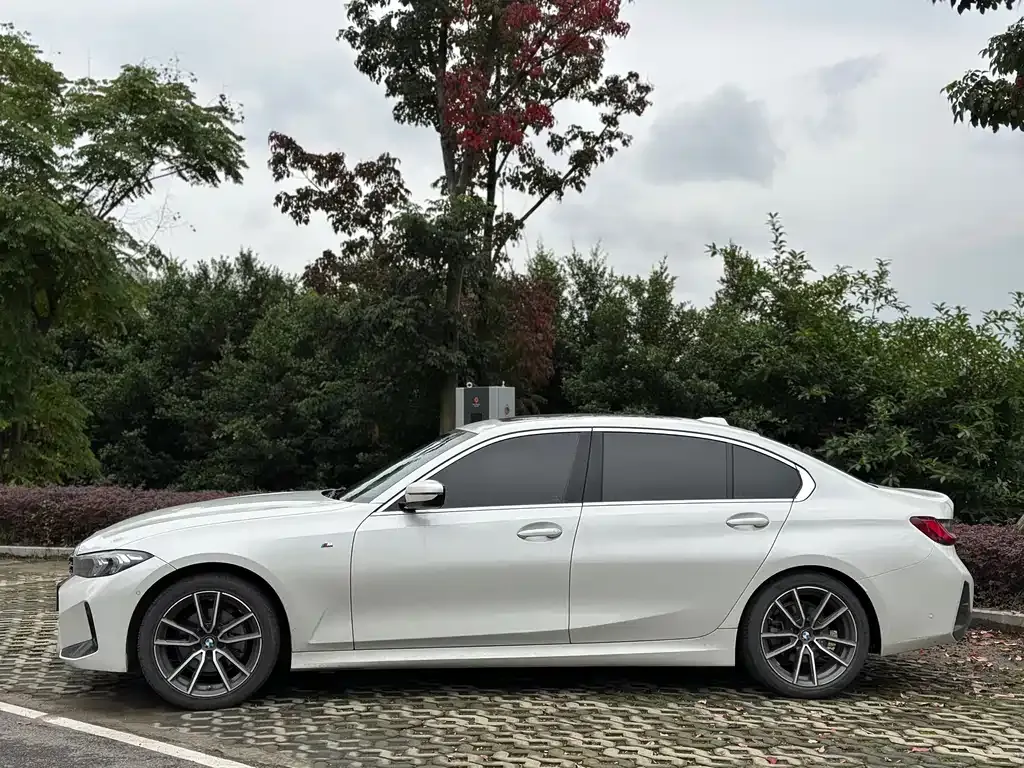 BMW 3 Series 2022 из CN, фото 9