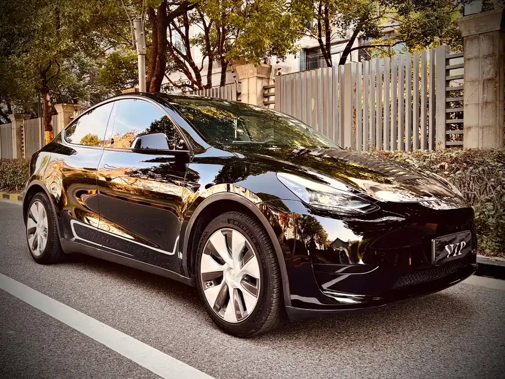 Tesla Model Y 2022 из CN, фото 1