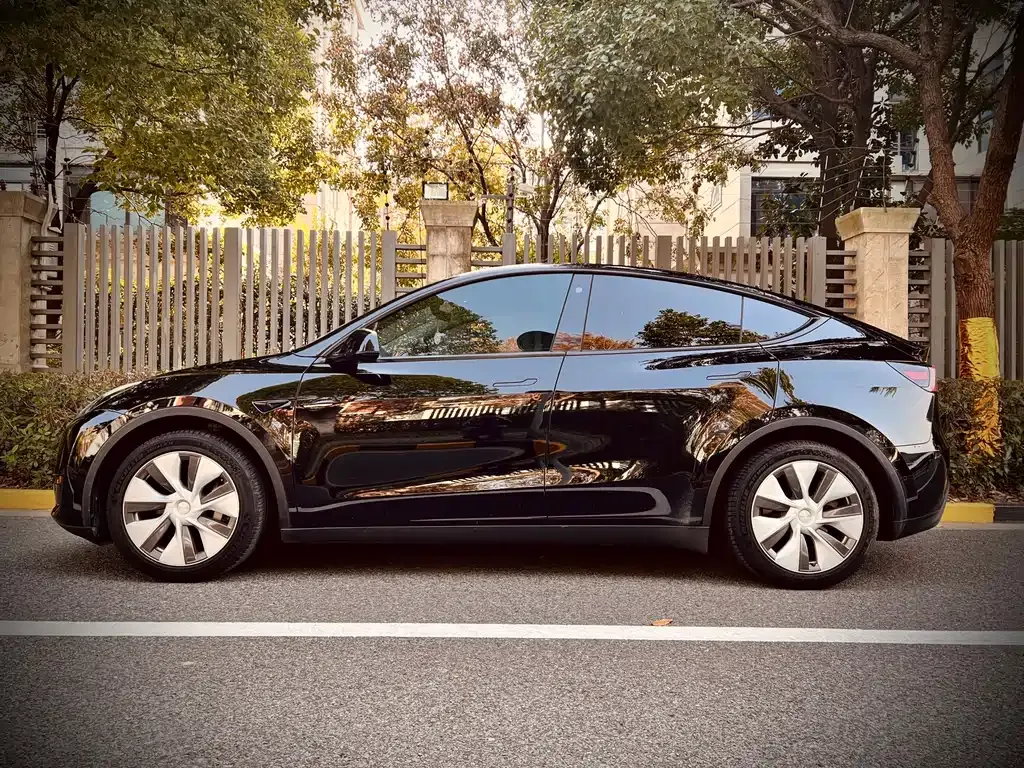 Tesla Model Y 2022 из CN, фото 4