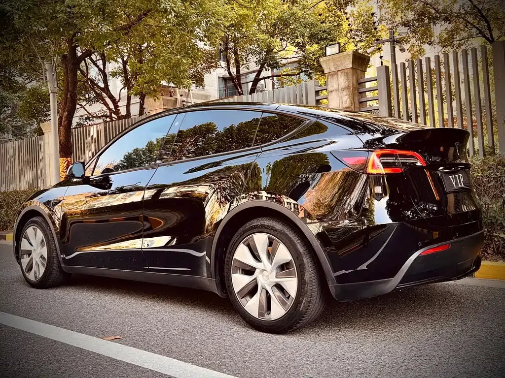 Tesla Model Y 2022 из CN, фото 5