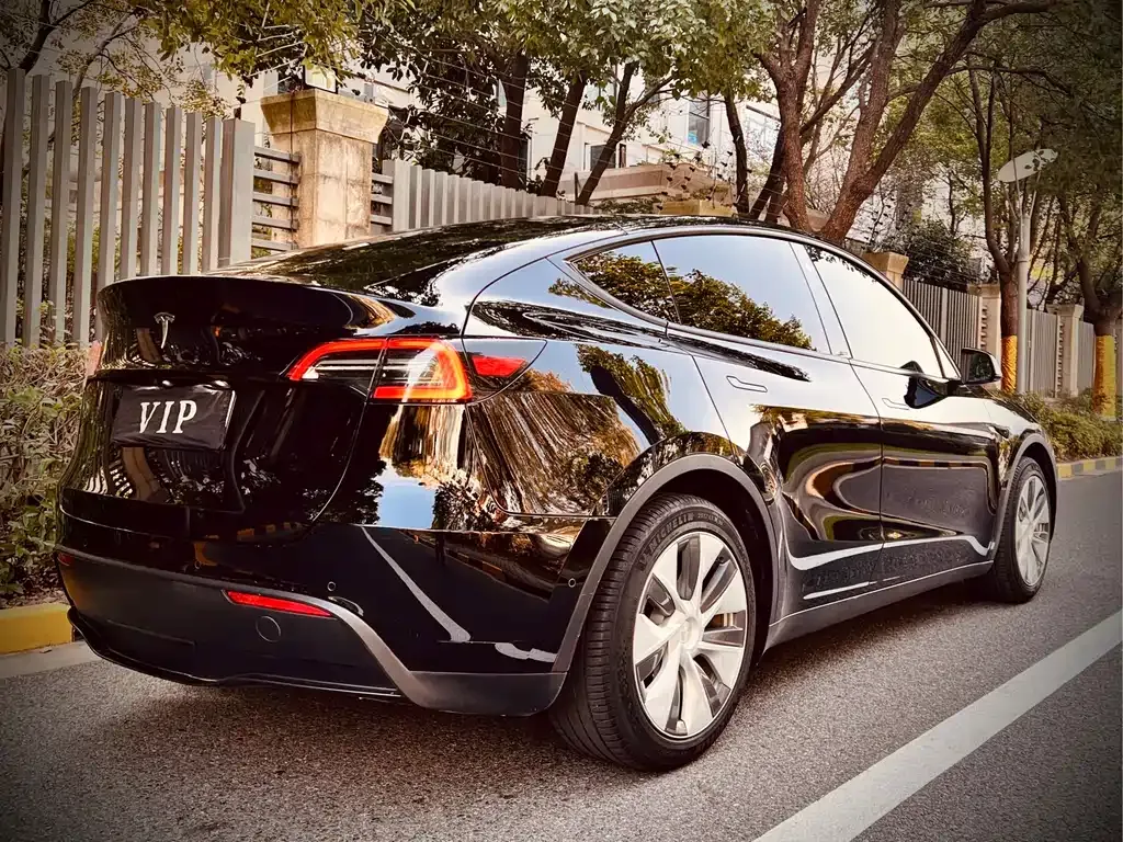 Tesla Model Y 2022 из CN, фото 6