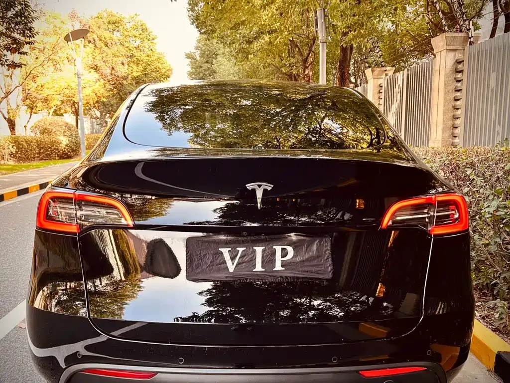 Tesla Model Y 2022 из CN, фото 7