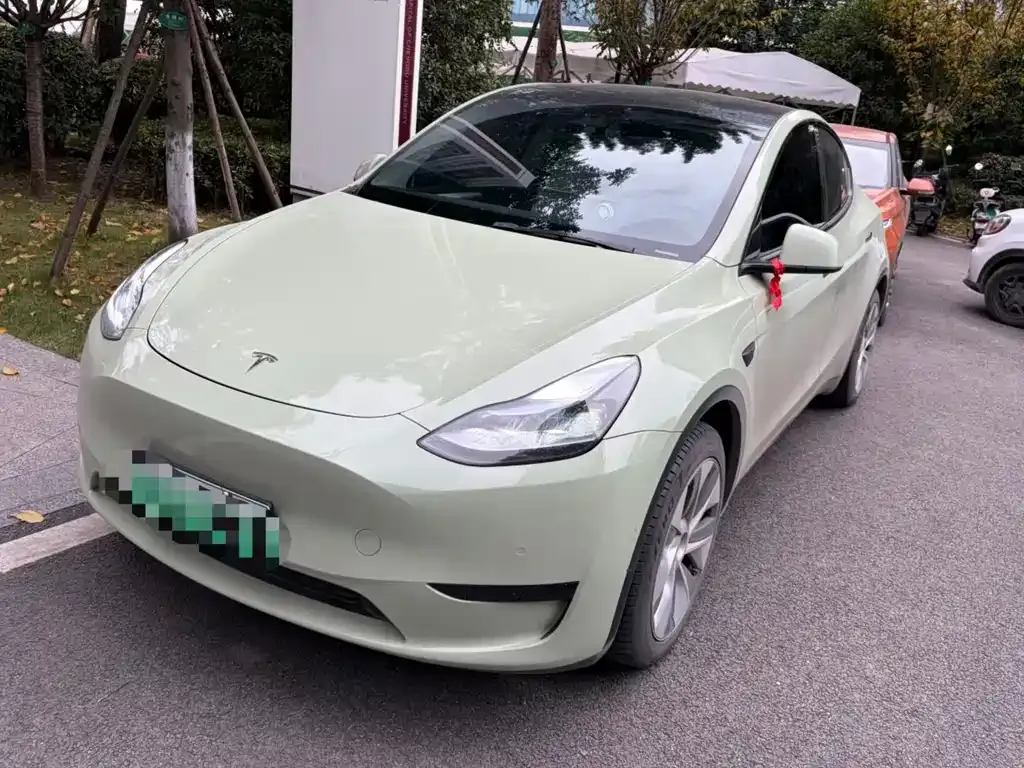 Tesla Model Y — фото 1