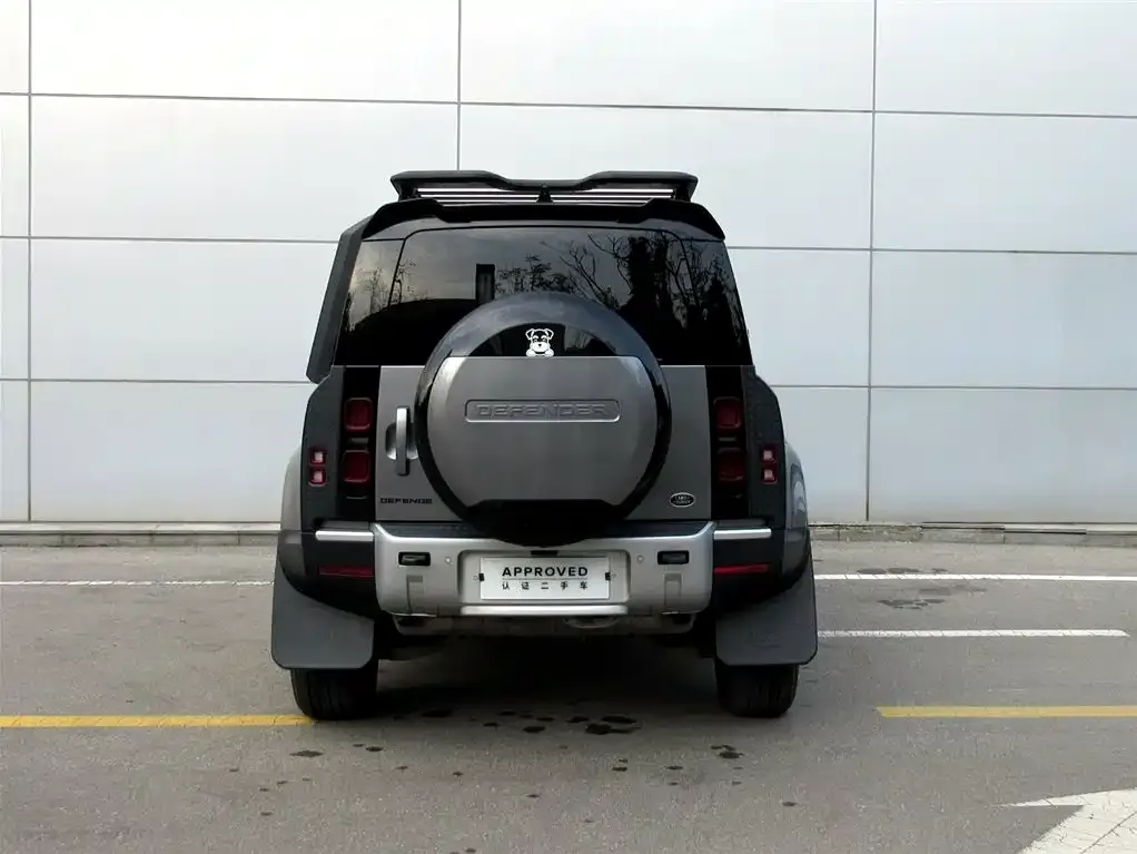 Land Rover Defender 2023 из CN, фото 4
