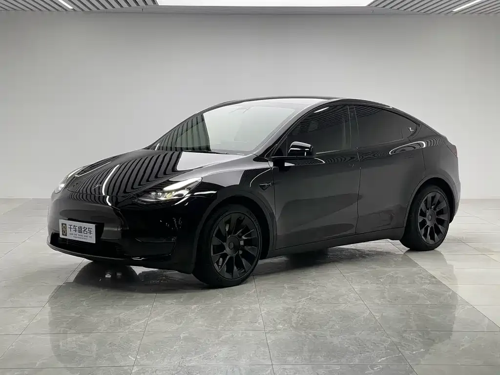 Tesla Model Y 2021 из CN, фото 1