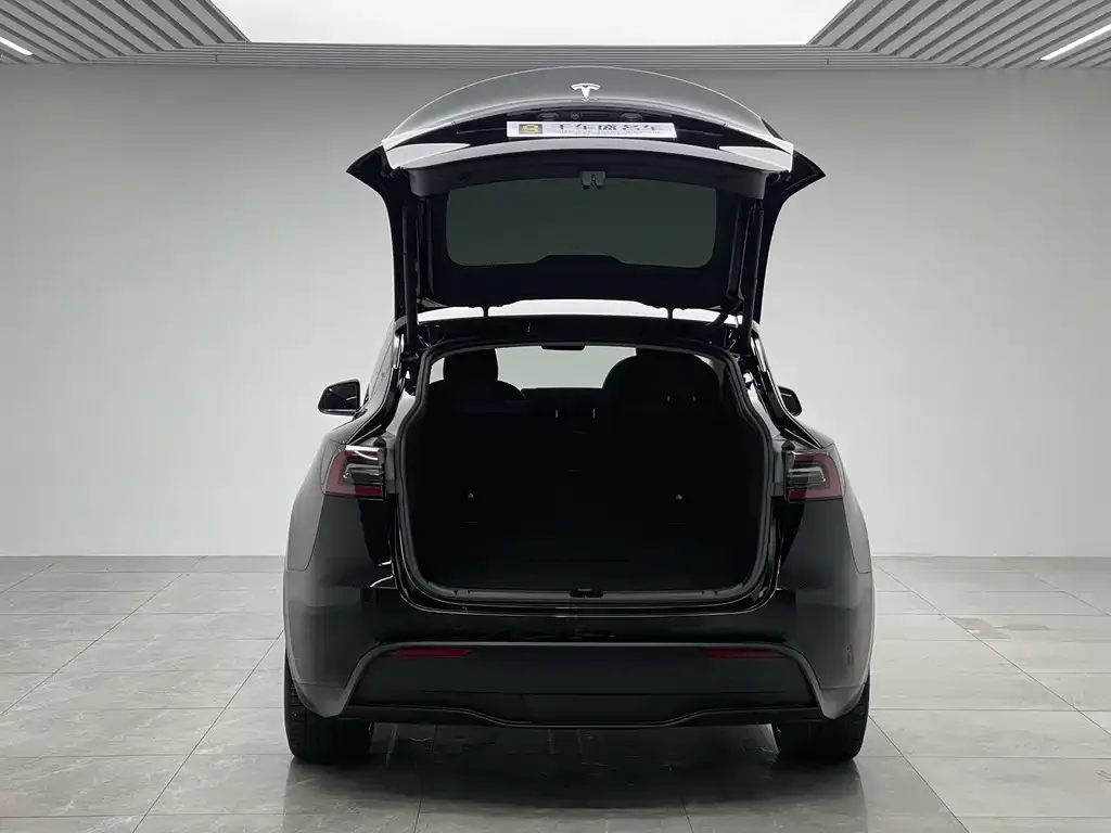 Tesla Model Y 2021 из CN, фото 10