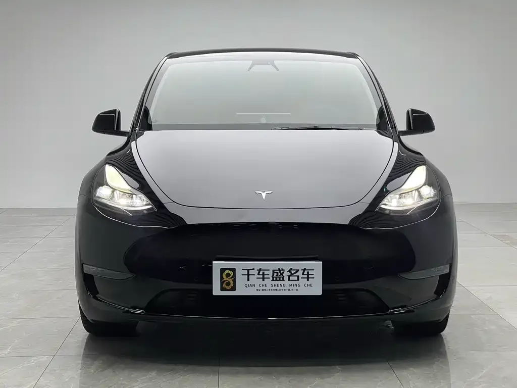 Tesla Model Y 2021 из CN, фото 2