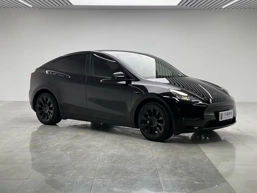Tesla Model Y 2021 из CN, фото 3
