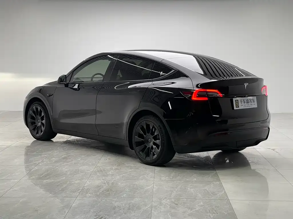 Tesla Model Y 2021 из CN, фото 4