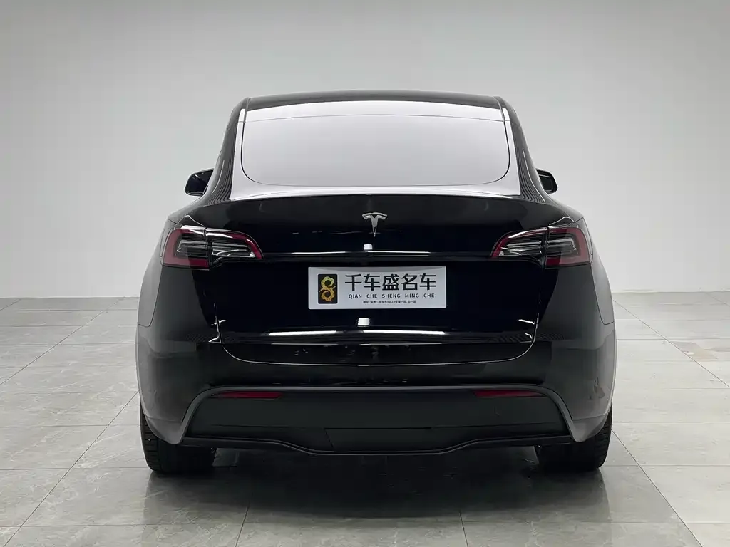 Tesla Model Y 2021 из CN, фото 5