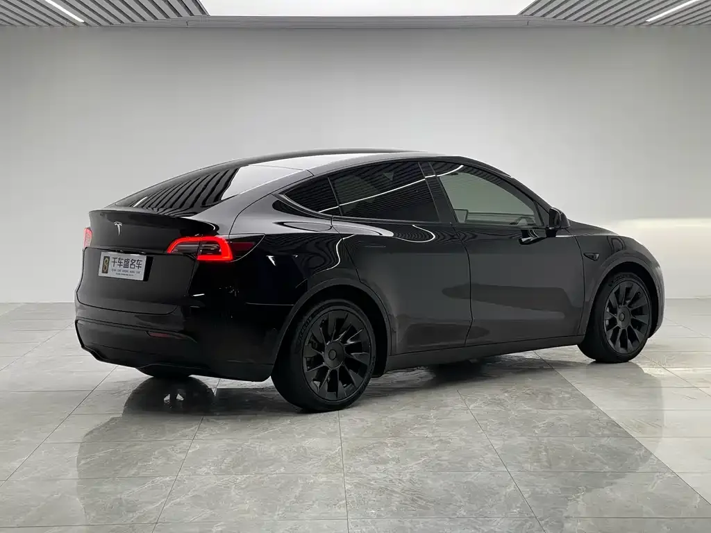Tesla Model Y 2021 из CN, фото 6