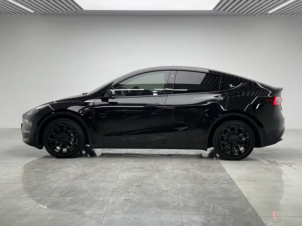 Tesla Model Y 2021 из CN, фото 7