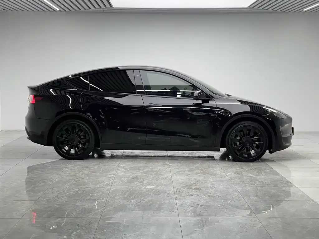 Tesla Model Y 2021 из CN, фото 8