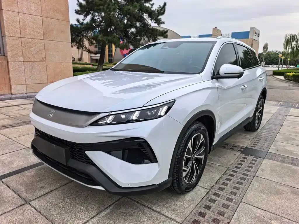 BYD Pro New Energy 2024 из CN, фото 1