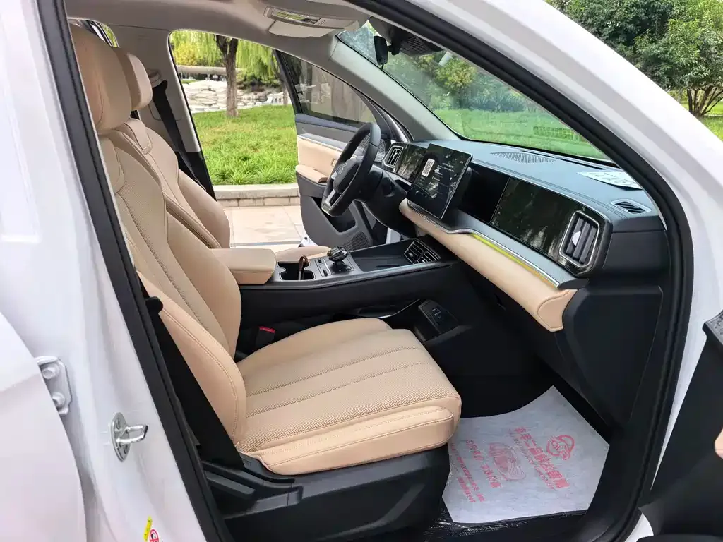 BYD Pro New Energy 2024 из CN, фото 10