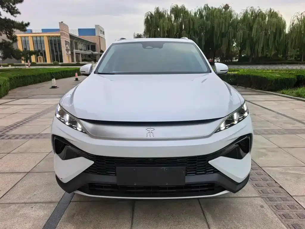 BYD Pro New Energy 2024 из CN, фото 2