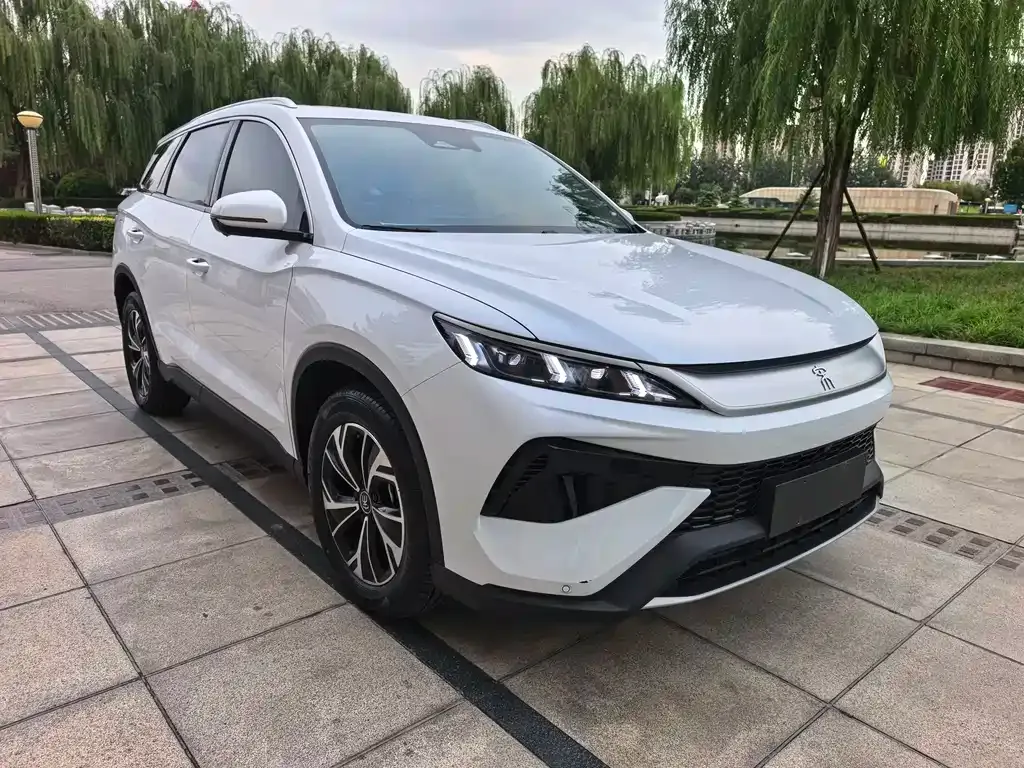 BYD Pro New Energy 2024 из CN, фото 3