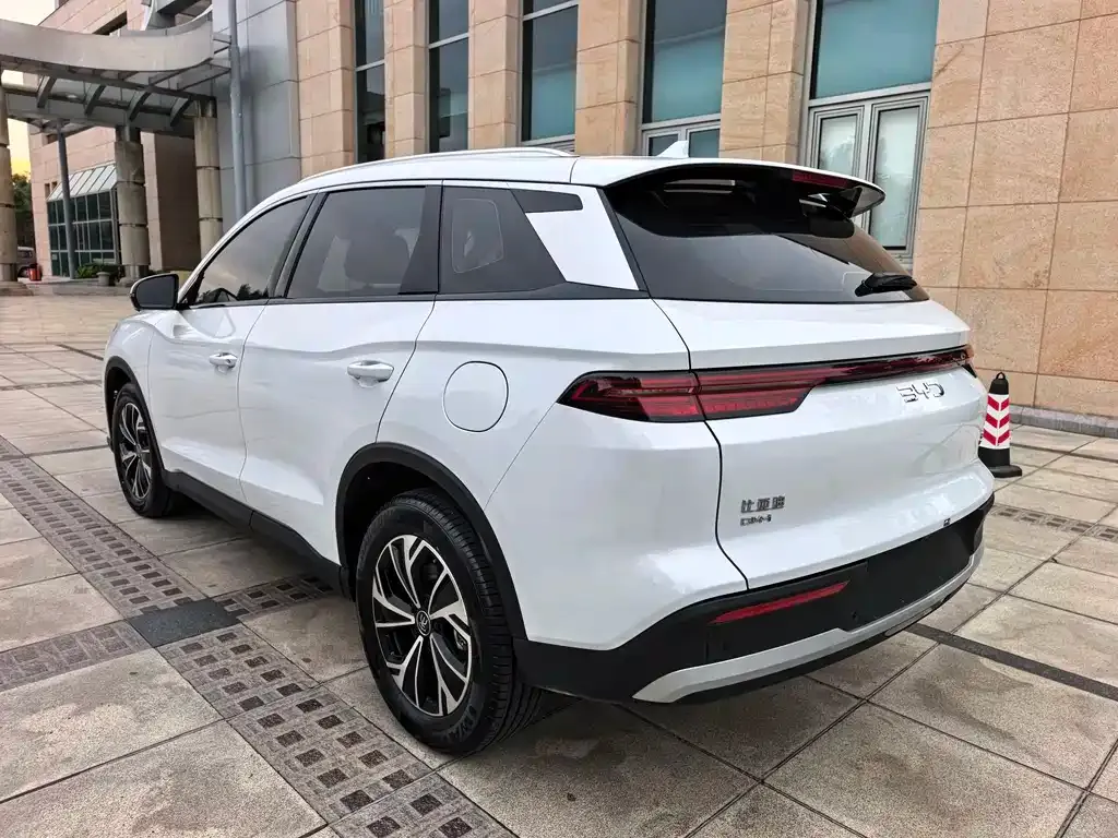 BYD Pro New Energy 2024 из CN, фото 4