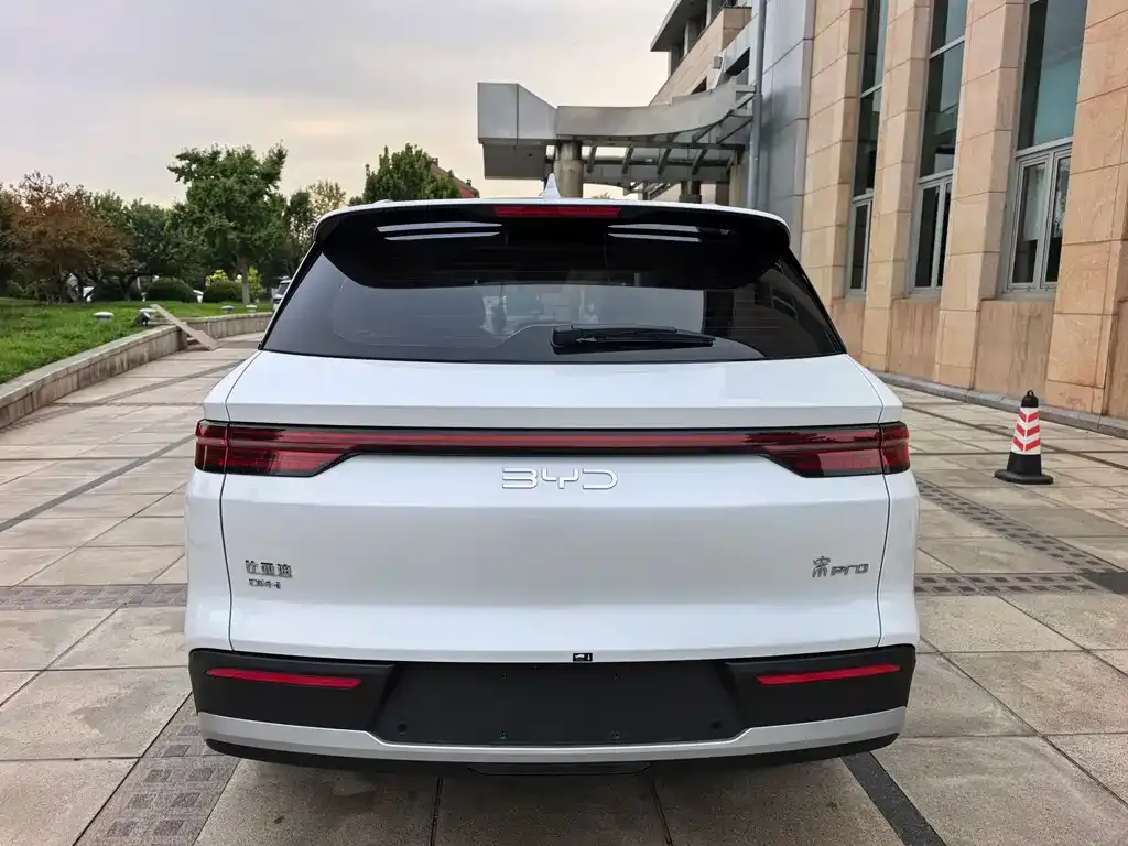BYD Pro New Energy 2024 из CN, фото 5