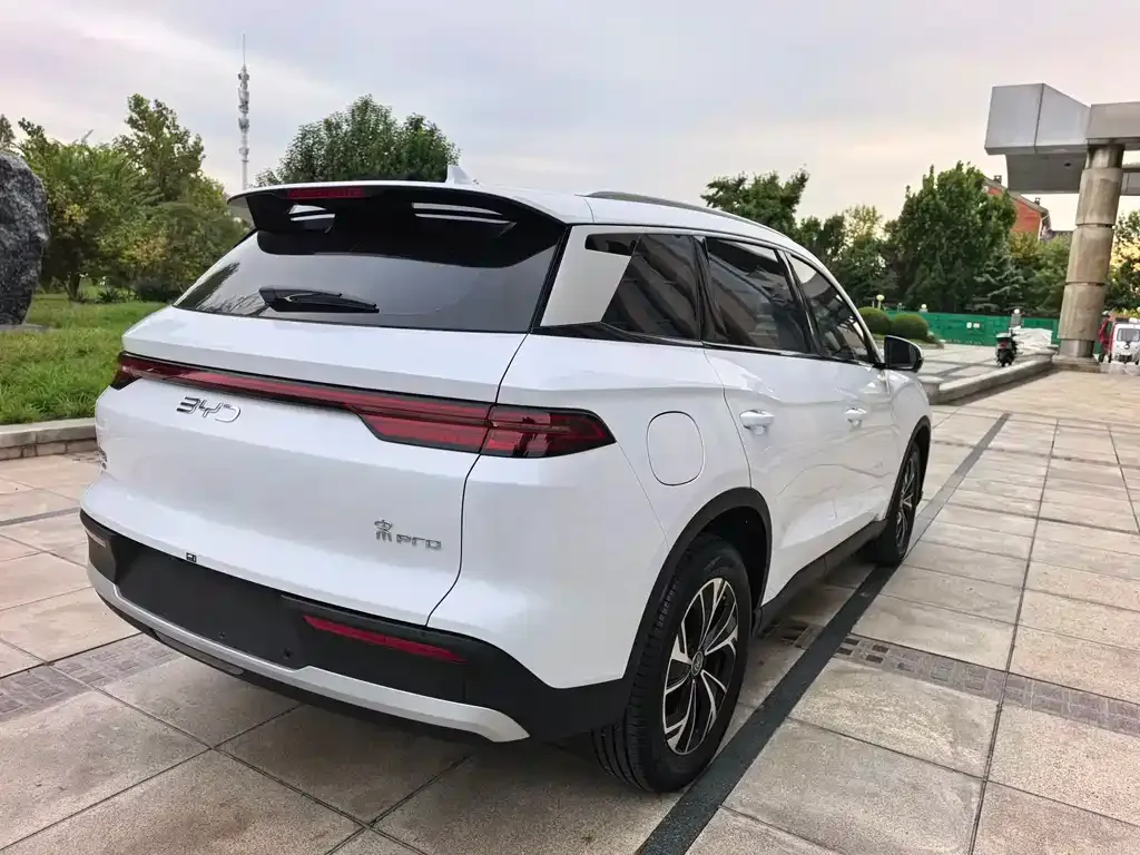 BYD Pro New Energy 2024 из CN, фото 6