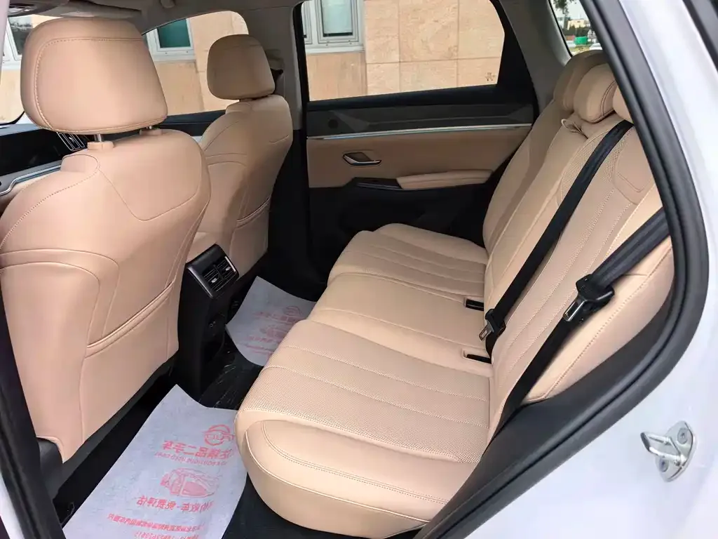 BYD Pro New Energy 2024 из CN, фото 7
