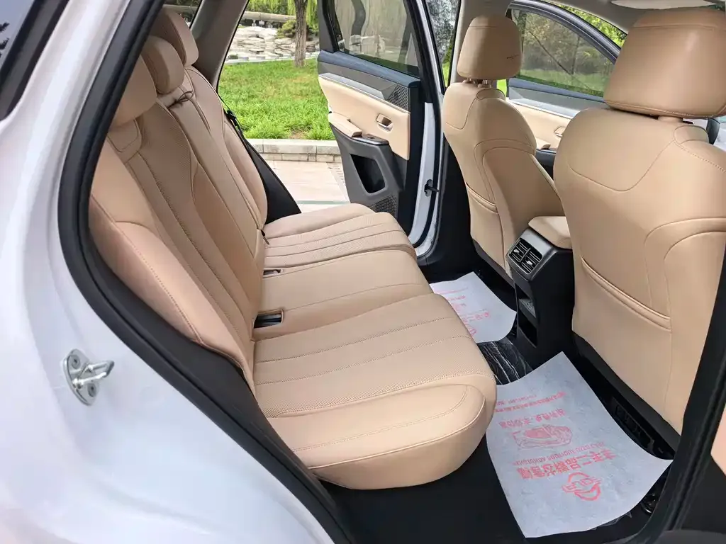 BYD Pro New Energy 2024 из CN, фото 9