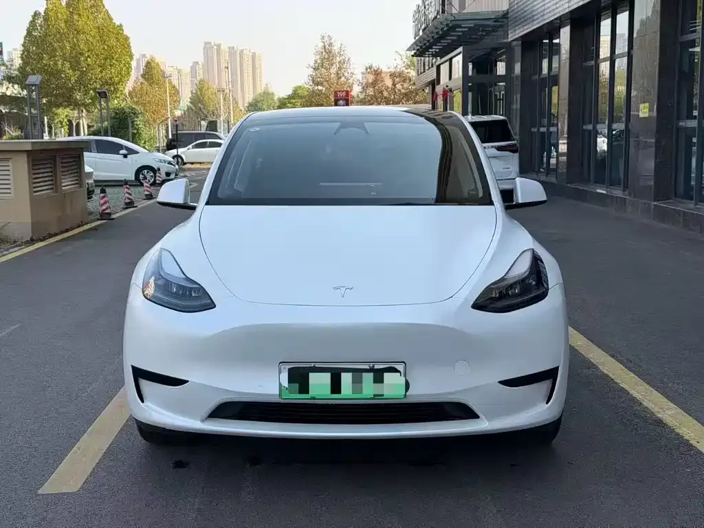 Tesla Model Y 2025 из CN, фото 2