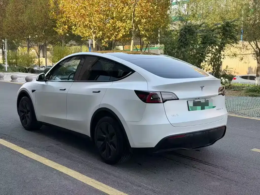 Tesla Model Y 2025 из CN, фото 6