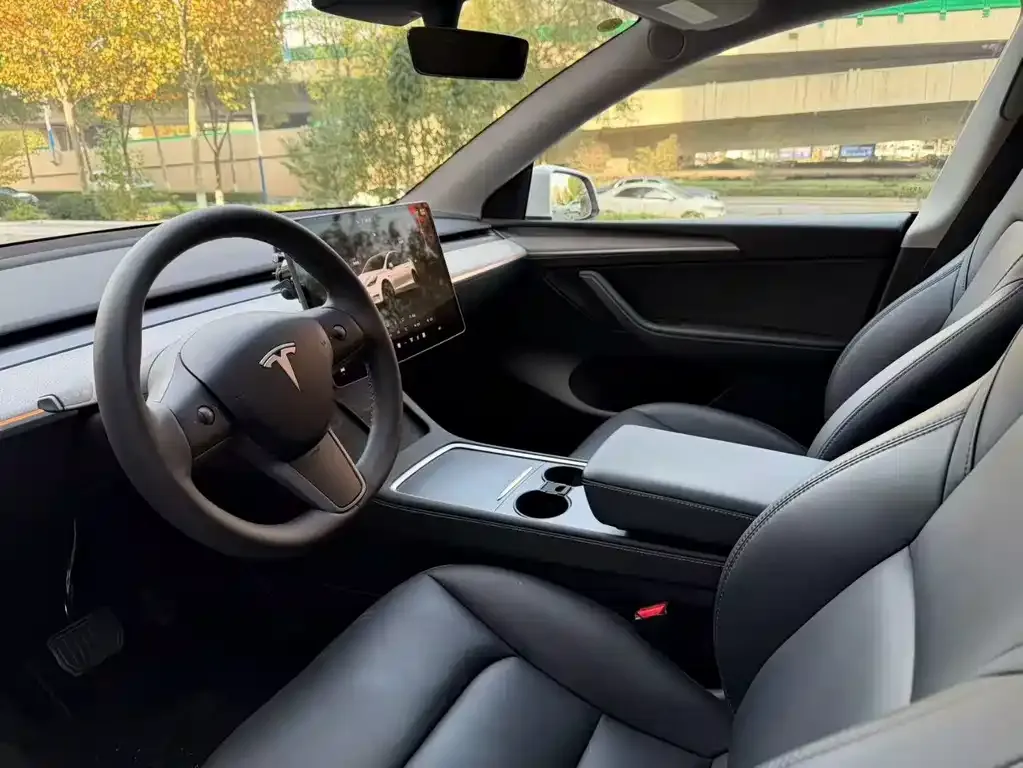Tesla Model Y 2025 из CN, фото 7