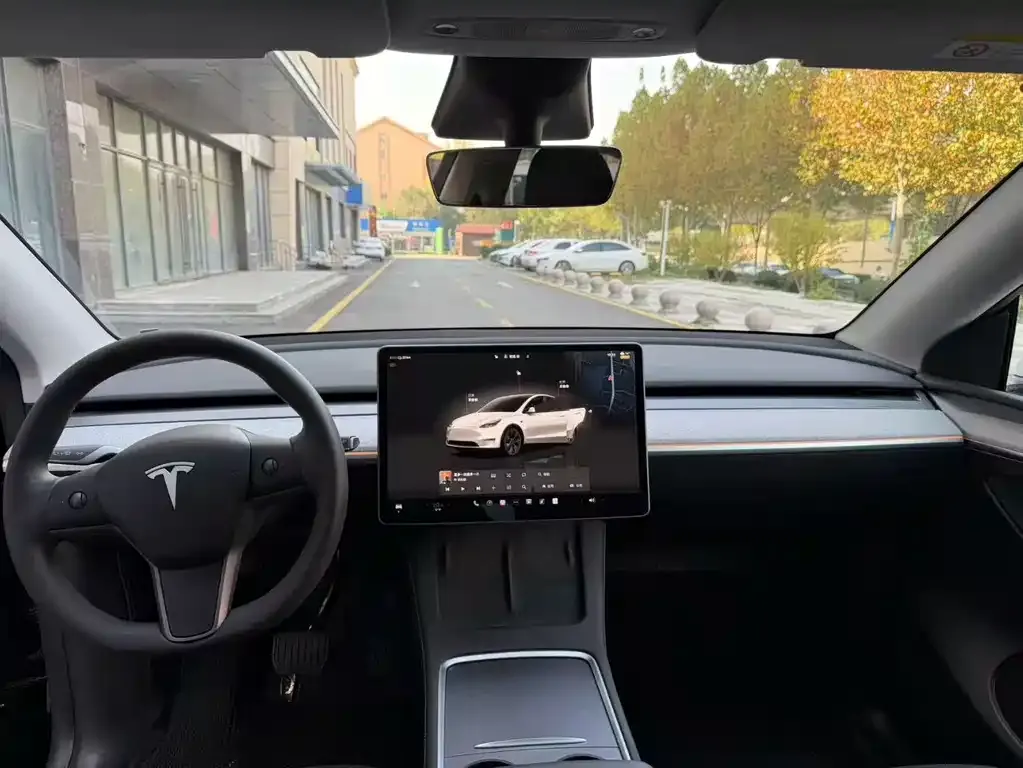 Tesla Model Y 2025 из CN, фото 9
