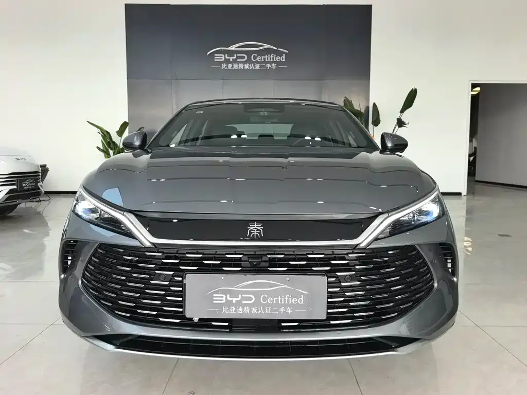 BYD Qin L — фото 2