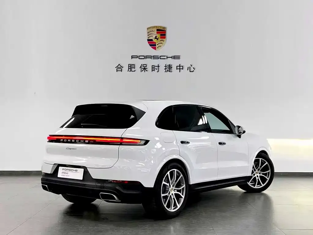 Porsche Cayenne 2024 из CN, фото 6