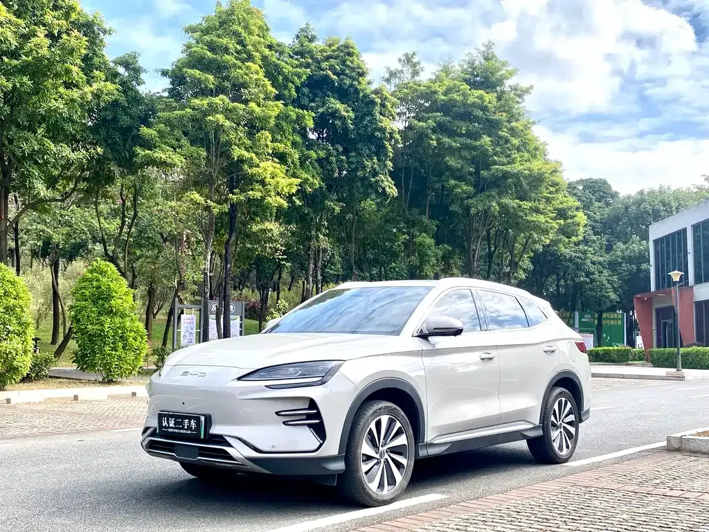 BYD PLUS New Energy 2024 из CN, фото 1