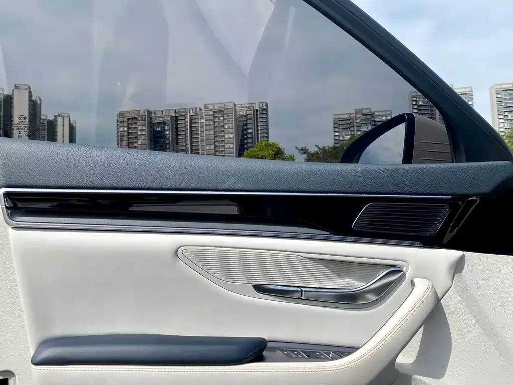 BYD PLUS New Energy 2024 из CN, фото 10