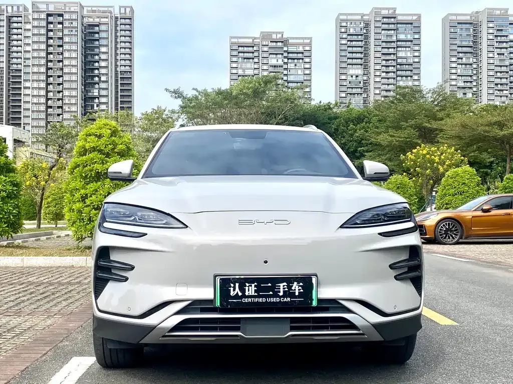 BYD PLUS New Energy 2024 из CN, фото 2