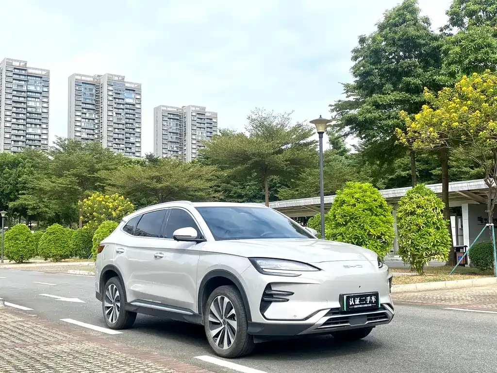 BYD PLUS New Energy 2024 из CN, фото 3