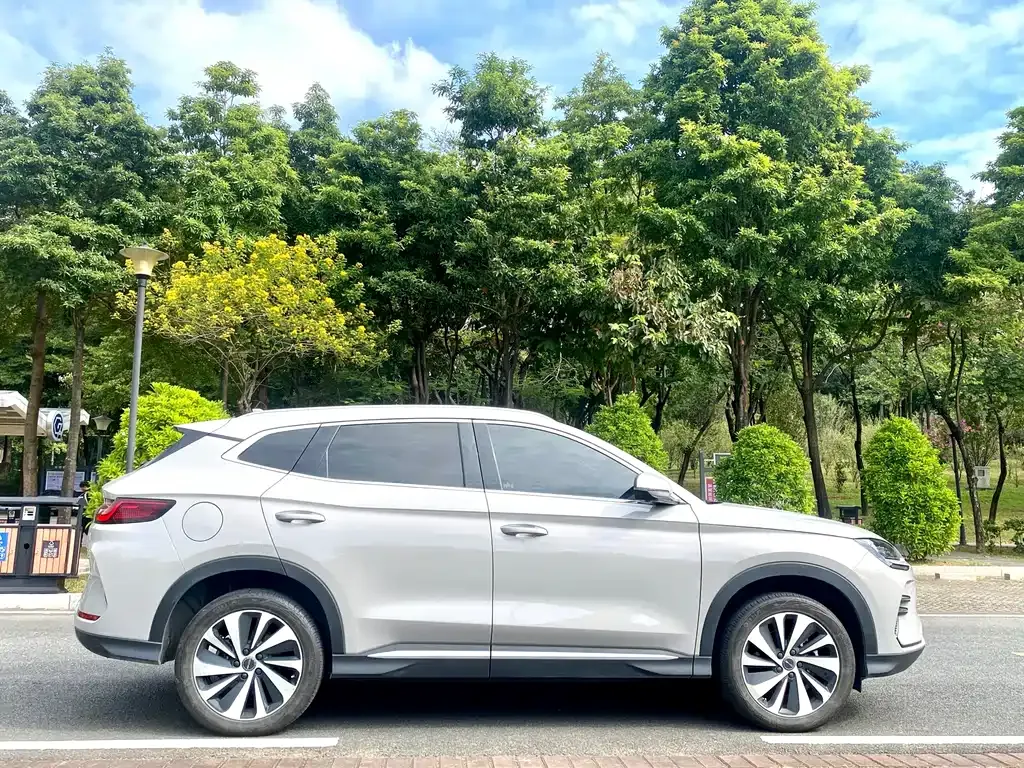 BYD PLUS New Energy 2024 из CN, фото 4