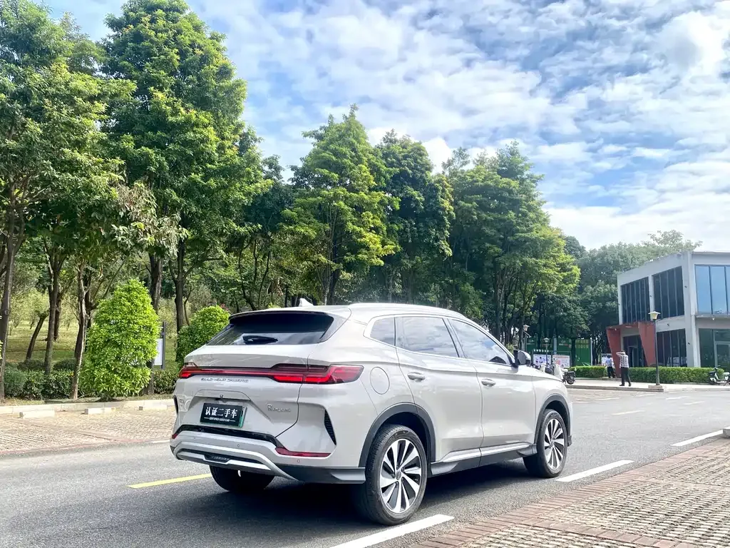BYD PLUS New Energy 2024 из CN, фото 5