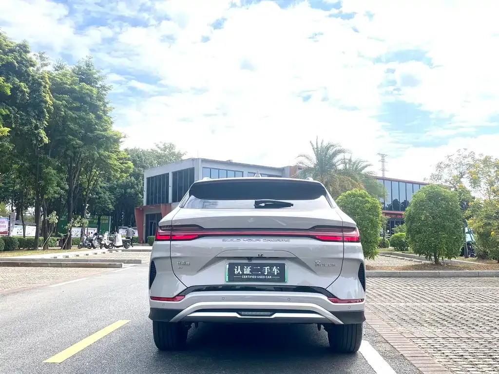 BYD PLUS New Energy 2024 из CN, фото 6