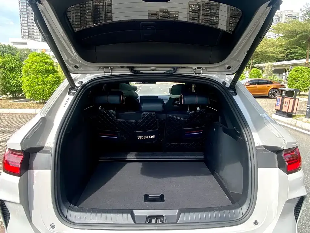 BYD PLUS New Energy 2024 из CN, фото 9