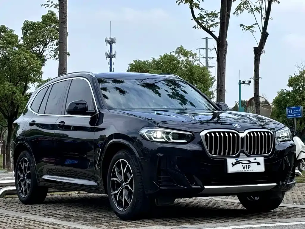 BMW X3 2024 из CN, фото 3