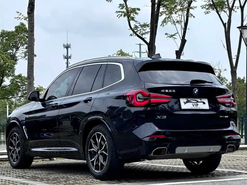 BMW X3 2024 из CN, фото 9