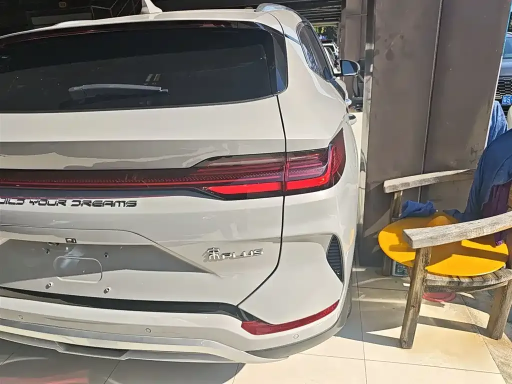 BYD PLUS New Energy — фото 8